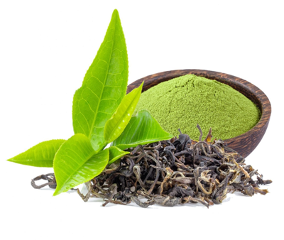 Green Tea Extract